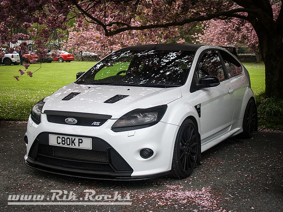 White Ford Focus RS  on Rico Rally Sunday Drivers C8OKP